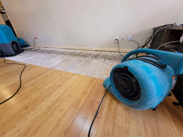 Professional Burst Pipe Water Damage technician working in Fellows, CA